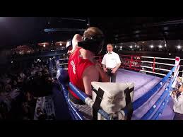 Ultra White Collar Boxing