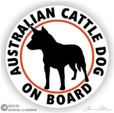 The goals and purposes of this breed standard include: Australian Cattle Dog Sticker Electronics Accessories Laptop Fountainforward Com
