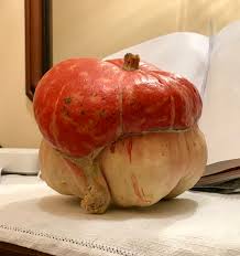 4.0 out of 5 stars. Turban Squash Wikipedia