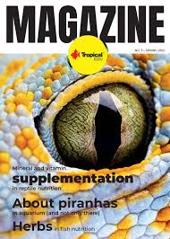 TropicalEDU MAGAZINE no3 SPRING 2021 by Tropical Tadeusz Ogrodnik