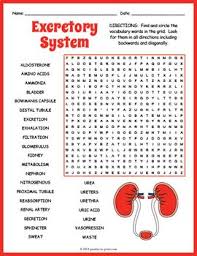 We did not find results for: Human Excretory System Word Search Puzzle Worksheet Activity Excretory System Vocabulary Words Human Excretory System