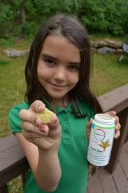 Best Multivitamin Supplements For The Whole Family Family Focus Blog