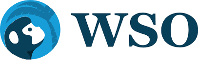 Advanced financial management, m&a, options, futures & derivatives, introduction to econometrics, . Investment Banking Resume Template Official Wso Cv Example Wall Street Oasis