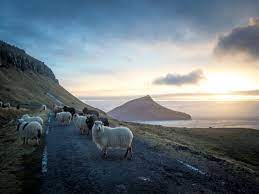 We did not find results for: What It S Like To Visit The Faroe Islands