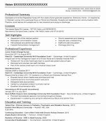big sister resume example big brothers