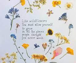 Elephant Academy Flower Quotes Quotes About Flowers Blooming Wild Flower Quotes