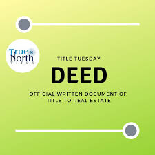 Check spelling or type a new query. Pin On Title Insurance