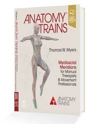 Anatomy Trains Books For Sale Fascial Health Literature