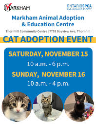 Richmond Hill Good Neighbours