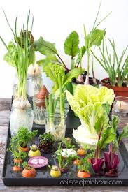 Discover the best way to plant asparagus, rhubarb and strawberries in your garden. 12 Best Veggies Herbs To Regrow From Kitchen Scraps A Piece Of Rainbow