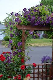 Other gardeners shade the base of the vine with ground covers—but avoid any plantswith deep root systems, as these can interfere with the root system of the clematis). Clematis Yard N Garden Land