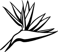 Simple Bird Of Paradise Drawing Bird Of Paradise Outline Sticker Birds Of Paradise Flower Bird Of Paradise Tattoo Birds Of Paradise