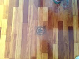 I am litter training my rabbit. Removing Pet Urine Stains From Hardwood Floors Thriftyfun