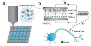 Image result for Science Technology Energy Devices