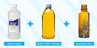 12 Best Diy Bug Sprays And Natural Bug Repellant Recipes