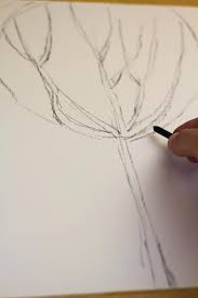 101,177 likes · 44 talking about this. Teaching Kids How To Draw From Life How To Draw A Tree Art For Kids Hub
