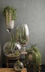 Diy Terrarium Ideas Glass Containers Succulents Diy Green Flowers Air Plant Terrarium Diy Succulent Terrarium Plants