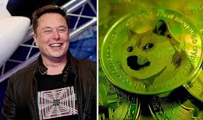 I suppose i'll give in and get a small bag of doge, one what do you think about the recent dogecoin rally and elon musk's dogefather snl tweet? Yrg1knnanhsadm