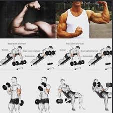 Pin On Workout Program S Exercises