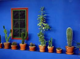 Los cactus pertenecen a la familia de las suculentas, que son aquellas plantas que se caracterizan por almacenar agua en sus raíces, hojas y tallos, y una gran parte de. Decoracion Con Cactus Y Suculentas Nomad Bubbles