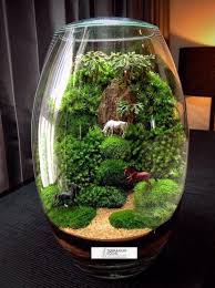 Inspiration 15 Amazing Terrarium Ideas With Moss Ferns Air Plants And Succulents Home Decor Singapor In 2020 Garden Terrarium Fairy Garden Flower Garden Layouts