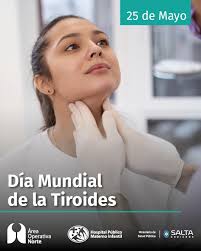 Area Operativa Norte