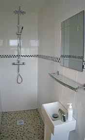 Small Bathroom Shower Room Design Jpg 500 818 Pixels Small Wet Room Ensuite Shower Room Small Shower Room