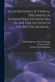 Illustrations of Typical Specimens of Lepidoptera Heterocera in the  Collection of the British Museum ..; pt. 5 (Paperback)