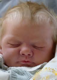 Evin Reborn guaranteed Vinyl Doll Kit by