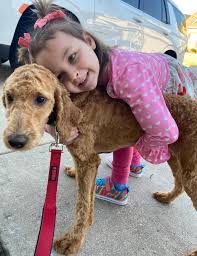 Team Riley Faith added a new photo.