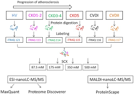 As everything else is getting smarter, our devices and property must also get. Itraq Based Proteomic Analysis Of Plasma Reveals Abnormalities In Lipid Metabolism Proteins In Chronic Kidney Disease Related Atherosclerosis Scientific Reports