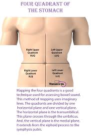 9 Tips For Performing A Nursing Health Assessment On The Gastrointestinal System Gastrointestinal System Nursing Students Digestive System Anatomy