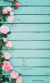 online shop الحياة سحر مربع fotografia صورة خلفية خلفيات للتصوير الفوتوغرافي photocall كاميرا فوتو flower background wallpaper flower wallpaper rose background