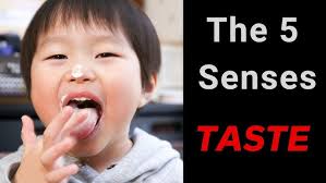 Useful travel phrases and holiday vocabulary