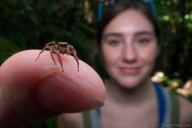 A Review of the Laowa 15mm f/4 and Its Crazy Close 4.7mm Working Distance