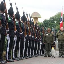 Mungkin jarang terpikir dibenak sebagian orang, kenapa baret tentara, polisi, bahkan pramuka itu berposisi miring. Penguin Ini Punya Pangkat Brigadir Militer Global Liputan6 Com