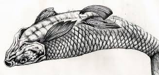 Roboellis Stuff I Ve Made Photo Biro Drawing Fish Drawings Fish Illustration