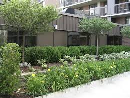 1 Apartment Complex Landscaping And Grounds Maintenance Jpg 800 600 Commercial Landscaping Beginners Landscaping Landscape Projects