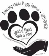 A cranford, nj 07016 rescue helping to find loving homes for dogs. Animal Rescue Dog Adoptions Amazing Mutts Puppy Rescue Cream Ridge Nj