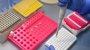 なくては means the absence of something, or not performing something, while いけない means it is not good, you should not do something. ã‚»ãƒ«ãƒ•pcræ¤œæŸ»ã‚­ãƒƒãƒˆã‚'æ—¥æœ¬å…¨å›½ã¸è²©å£²æ‹¡å¤§ ãƒŠã‚¤ãƒˆãƒ‰ã‚¯ã‚¿ãƒ¼ ãƒªã‚¢ãƒ³æ ªå¼ä¼šç¤¾ã®ãƒ—ãƒ¬ã‚¹ãƒªãƒªãƒ¼ã‚¹