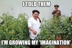 Kim Jong Un Weed Memes Imgflip