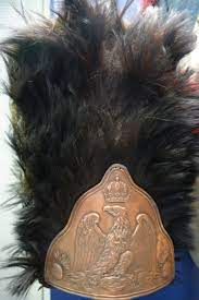 Bearskins should not be confused with other forms of headdress, including the busby, and other types of smaller fur headdresses. Bearskin Wikipedia
