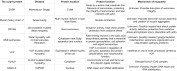 Image result for Muscle Weakness Causes