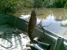 Apa Yang Best Di Kota Kuala Muda Kota Kuala Muda Kedah Facebook