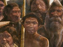 10 Jenis Jenis Manusia Purba Di Indonesia Beserta Ciri Cirinya