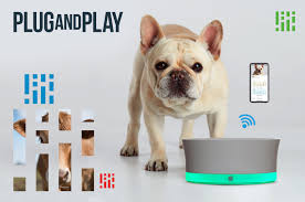 Maybe you would like to learn more about one of these? New Accelerator Aims To Capitalize On Pet Health Agtech Hub With International Cohort