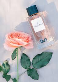 We did not find results for: Experience