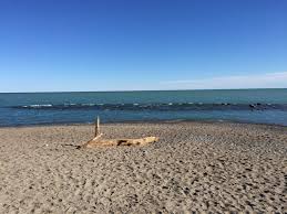 Summerville outdoor olympic pool nearby. 8 Toronto Beaches Meet Eco Friendly Blue Flag Standard Citynews Toronto