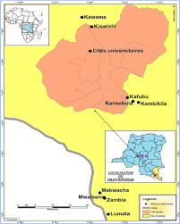 Le concept est simple : The Value Chain Of The Edible Caterpillar Elaphrodes Lactea Gaede Lepidoptera Notodontidae In The Miombo Forest Of The Democratic Republic Of The Congo Journal Of Ethnobiology And Ethnomedicine Full Text