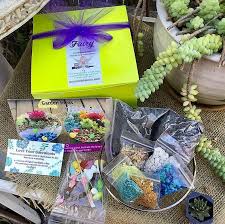 Birth Month Flower Grow Kit Instructions Easy Diy Fairy Garden Kit Perfect For Kids And Diy Craft Ideas How To Make A Succulent Fairy Garden With C Fairy Garden Kit Kids Fairy Garden Fairy Garden Diy
